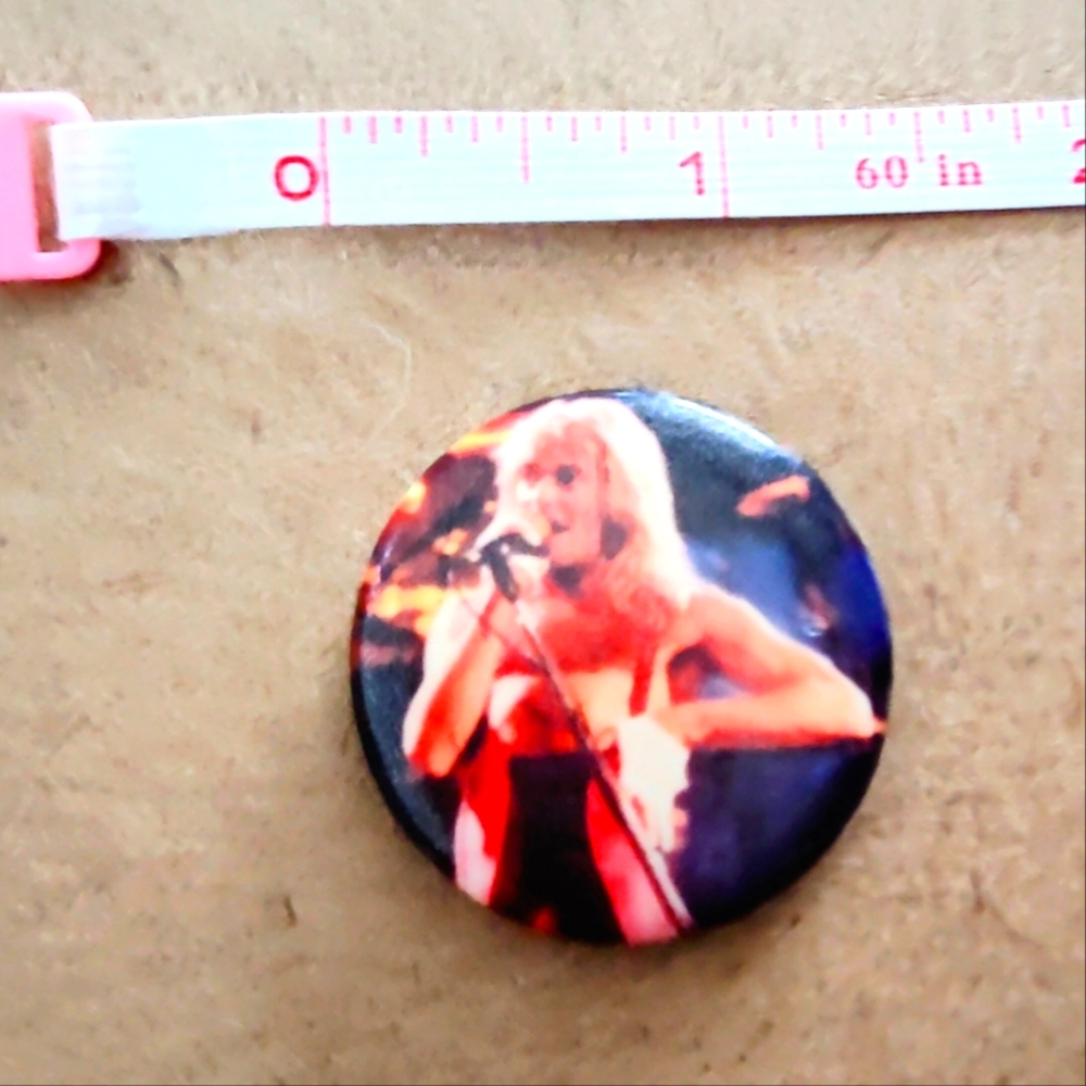 Vintage David Lee Roth Pin #2 - Picture 3 of 3